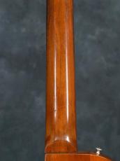 Gibson 1979 The Paul_16