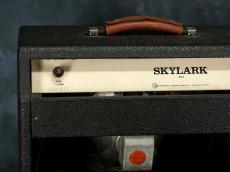 Gibson 1965 GA-5 Skylark White Panel_8