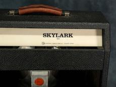 Gibson 1965 GA-5 Skylark White Panel_9