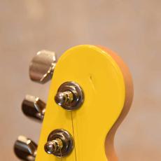 Fender TL-MINNIE_5