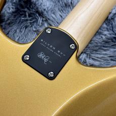 Paul Reed Smith [PRS] Silver Sky Maple Golden Mesa -John Mayer Signature Model-【生産完了カラー】【2021年製】_9