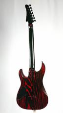 SCHECTER PA-SM-SH-7【SiM SHOW-HATE New Signature Model 】_9