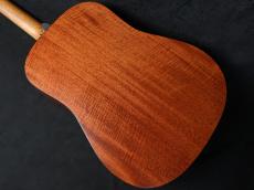 Martin D-10E-02_7