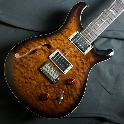 Paul Reed Smith [PRS] SE CUSTOM 22 SH Q BG