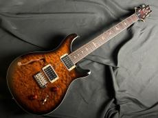 Paul Reed Smith [PRS] SE CUSTOM 22 SH Q BG_2