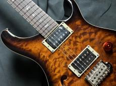 Paul Reed Smith [PRS] SE CUSTOM 22 SH Q BG_4