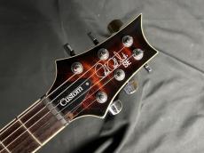 Paul Reed Smith [PRS] SE CUSTOM 22 SH Q BG_6