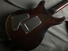 Paul Reed Smith [PRS] SE CUSTOM 22 SH Q BG_8