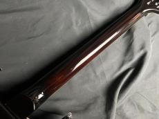 Paul Reed Smith [PRS] SE CUSTOM 22 SH Q BG_9
