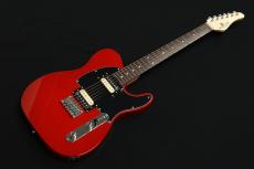 SCHECTER OL-TE-2H-FXD/DRD/R_3