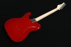 SCHECTER OL-TE-2H-FXD/DRD/R_6