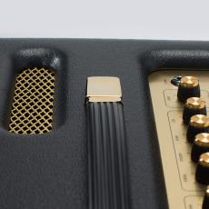 Marshall Origin 20C_8
