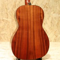 Takamine PTU431K N_2