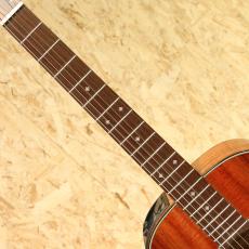 Takamine PTU431K N_6