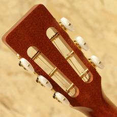 Takamine PTU431K N_9