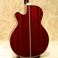 Takamine DMP551C WR_2