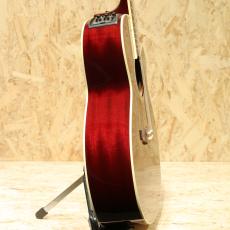 Takamine DMP551C WR_4