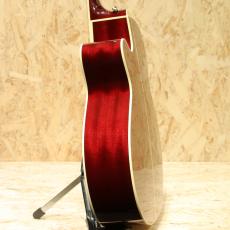 Takamine DMP551C WR_5