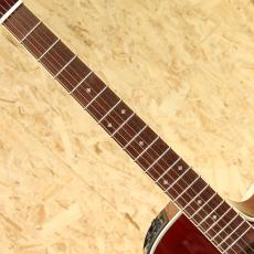 Takamine DMP551C WR_6