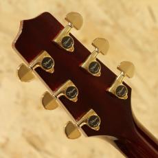 Takamine DMP551C WR_9