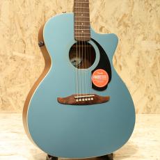 Fender Newporter Player TPL
