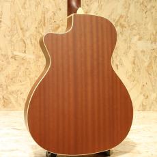 Fender Newporter Player TPL_2