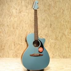 Fender Newporter Player TPL_3