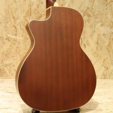 Fender Newporter Player SFG_2