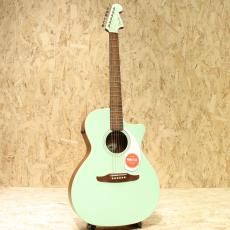 Fender Newporter Player SFG_3