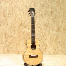 Seilen SLTS-324cst 2010s_3
