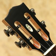 Seilen SLTS-324cst 2010s_8