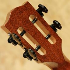 Seilen SLTS-324cst 2010s_9