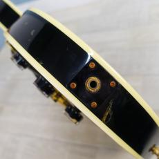 Orville LPC-75 Ebony_10