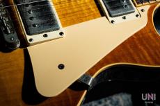 Gibson 60s Les Paul Standard / 2006_6