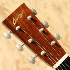 Collings OM2H Cutaway_8