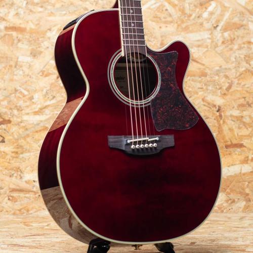 Takamine DMP551C WR