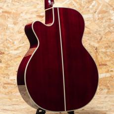 Takamine DMP551C WR_2