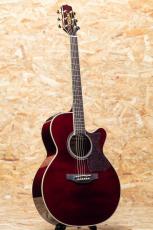 Takamine DMP551C WR_3