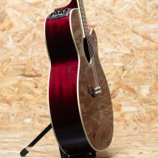 Takamine DMP551C WR_4