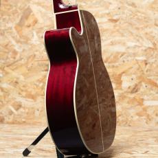 Takamine DMP551C WR_5
