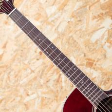 Takamine DMP551C WR_6
