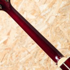 Takamine DMP551C WR_7