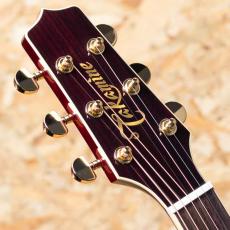 Takamine DMP551C WR_8