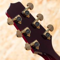 Takamine DMP551C WR_9