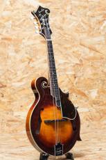 IWASHITA MANDOLINS&GUITARS F-5 2024_3