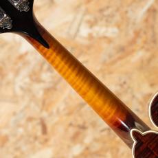 IWASHITA MANDOLINS&GUITARS F-5 2024_7