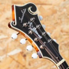 IWASHITA MANDOLINS&GUITARS F-5 2024_8