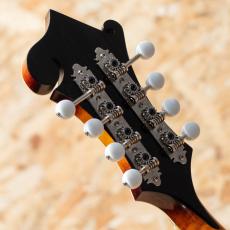 IWASHITA MANDOLINS&GUITARS F-5 2024_9