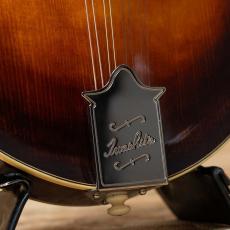 IWASHITA MANDOLINS&GUITARS F-5 2024_10