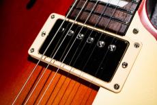 Gibson Les Paul Tribute / 2022_5